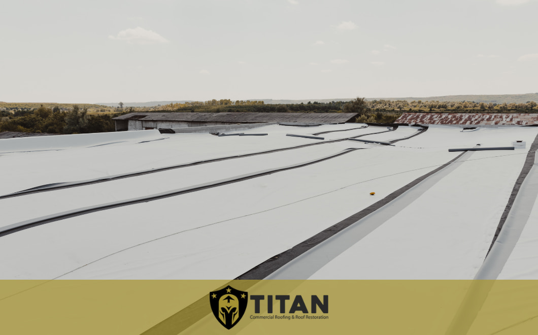 Everything You Need to Know About TPO Roofing